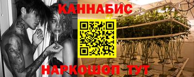 индика Можайск