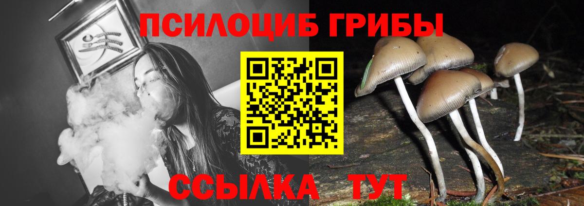 Тобольск  Псилоцибиновые грибы MAGIC MUSHROOMS  дарнет шоп  Вход с VPN 
